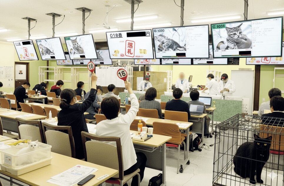 ペットショップの流通事情