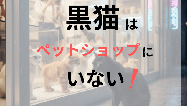 誰も教えてくれない黒猫がペットショップにいない本当の理由