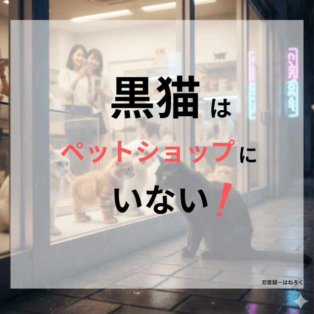 誰も教えてくれない黒猫がペットショップにいない本当の理由